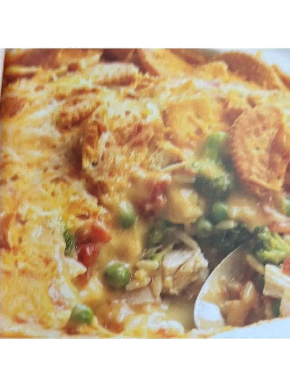 9x13 The Perfect-Fit Dish Cookbook